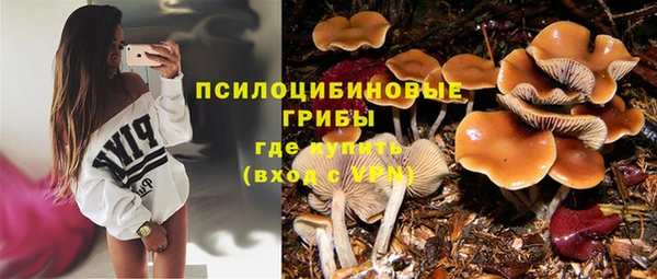 гидропоника Надым