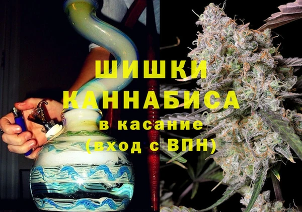 твердый Михайлов