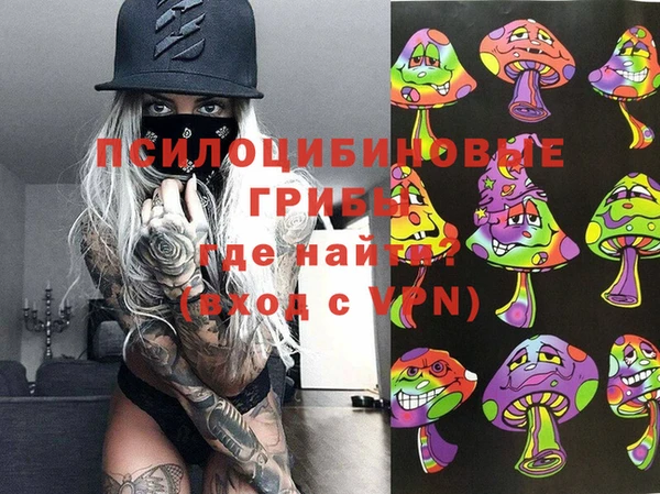 твердый Михайлов